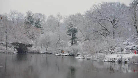 Gapstow Bridge in Central Park NYC during winter snowfall, located at the northe Stock Footage 309310074