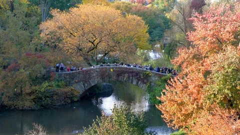 Gapstow Bridge with falling Leaves in Central Park New York -  Fall Season Stock Footage