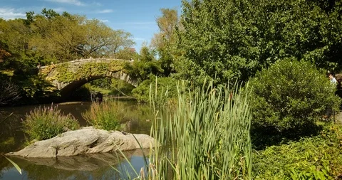 Gapstow Bridge over The Pond in Central Park New York City Stock Footage 122973306
