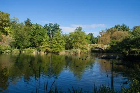 Gapstow Bridge Stock Photos