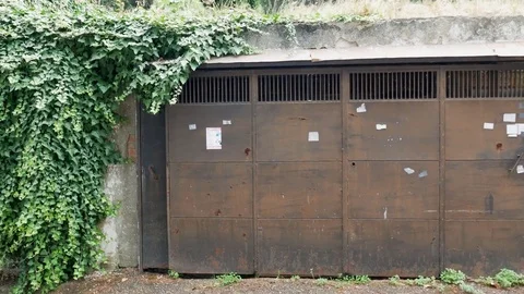 Garage Door with Ivy Stock Footage 83996367