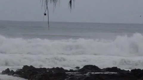 Garance2 Stock Footage 303122410