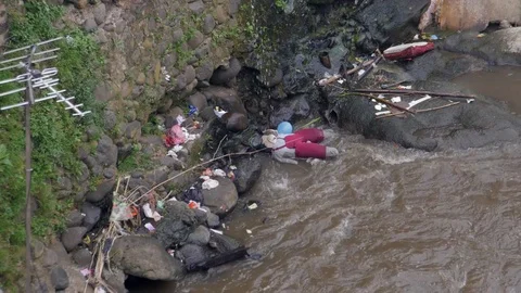 Garbage accumulating on the side of a river Stock Footage 76554991