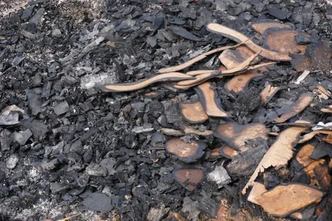 Garbage after burned make the bad environment Stock Photos
