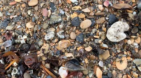 Garbage after the surf on the seashore Stock Photos