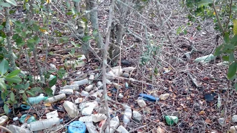 Garbage of all kinds, plastic bottles, styrofoam, rubber, aluminum and glass can Stock Footage 95763176