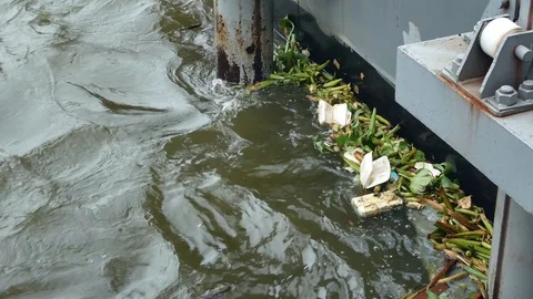 Garbage and other debris floating over water Chao Phraya river, Bangkok. Stockbeeldmateriaal 120768405