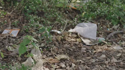 Garbage and plastic littered on a bed of dried leaves Stock Footage 281270718