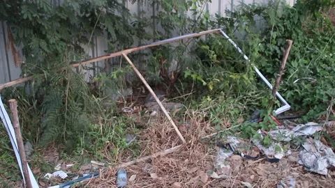 Garbage and plastic waste are illegally dumped in a natural area in Thailand Stock Footage 306653756