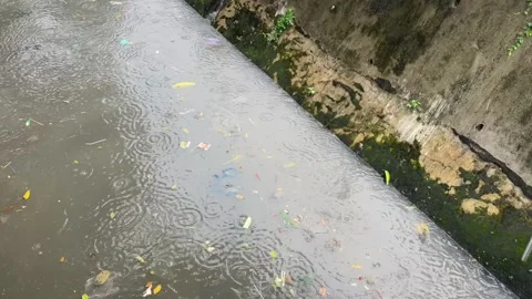 Garbage and plastic waste floating in the river Stock Footage 298675925