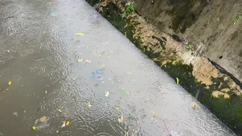 Garbage and plastic waste floating in the river Vidéo 300048417