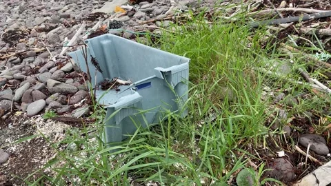 Garbage and trash washed up on a beach. Stock Footage 155442391