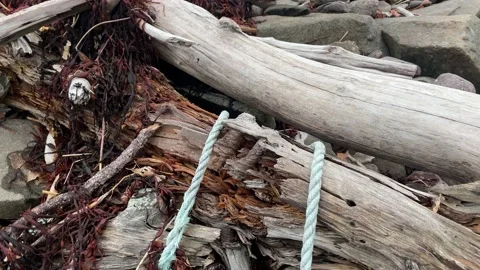 Garbage and trash washed up on a beach. Stock Footage 155442392
