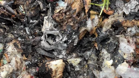 Garbage Ashes Surrounded by Flies Stock Footage 308278376