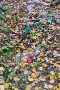 Garbage in the autumn forest Stock Photos
