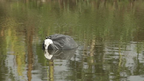 Garbage bag floating in canal Stock Footage 93442758