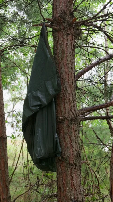 Garbage Bag Hanging on Pine Tree Branch for Outdoor Camping Activities Stock Footage 342015462