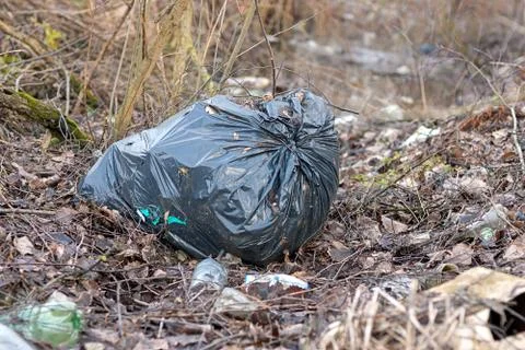Garbage bag left in the forest Stock-Fotos