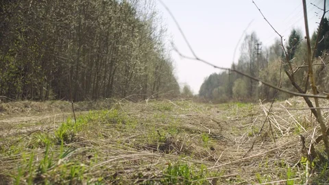 Garbage bag lying in the forest Video stock 107458692