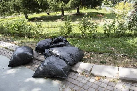 Garbage Bag on Park Sidewalk 库存照片