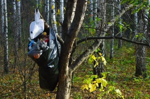 Garbage in a bag in the woods on a tree. Stock Photos