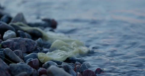 Garbage Bags on the Seaside. Stock Footage 155657300