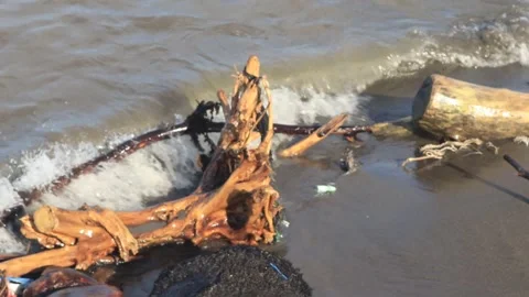 Garbage on the beach (1) Stock Footage 289697849