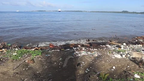 Garbage on the beach (2) Stock Footage 289697848