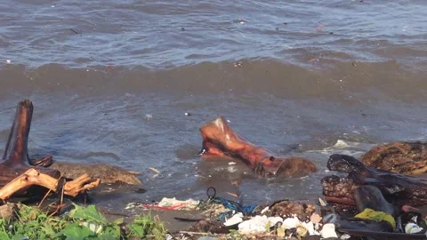 Garbage on the beach (3) Stock Footage 289697857