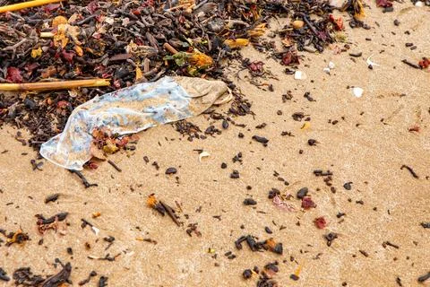 Garbage on the beach, condom on the seashore close-up top view. ecological .. Stock Photos