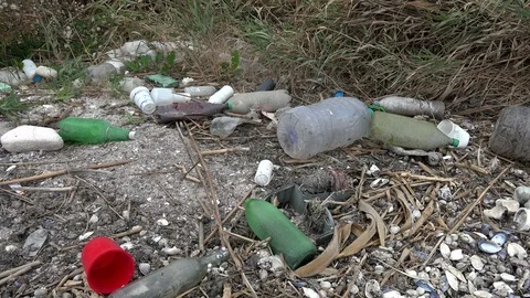 Garbage on the beach. Environmental issue, pollution of the surrounding nature Stock Footage 97213305