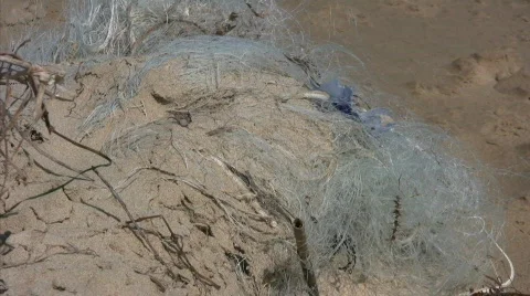 Garbage on a beach Vidéo 660156