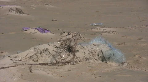 Garbage on a beach Stock Footage 660166