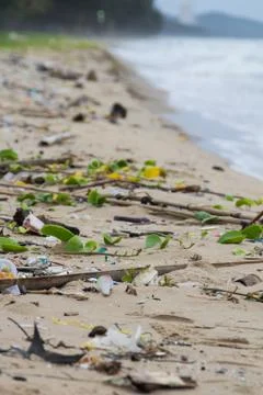Garbage on the beach. Stock Photos