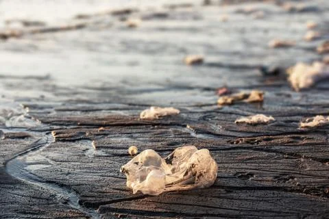 Garbage on the beach Stock Photos