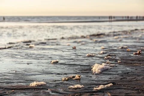 Garbage on the beach Stock Photos