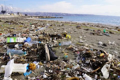 Garbage On The Beach Stock Photos