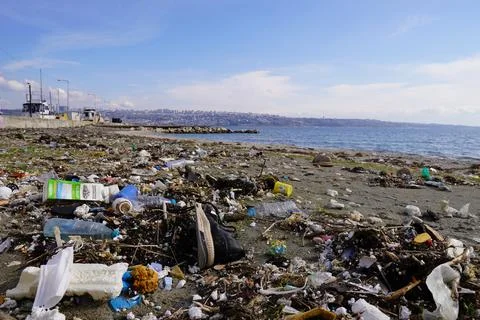 Garbage On The Beach Foto stock