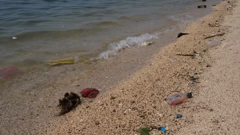 Garbage being washed to the shoreline Stock Footage 300669233