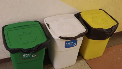 Garbage bin, environment care, recycling organization Stock Footage 293490746