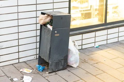 Garbage bins in the yard. Stock Photos