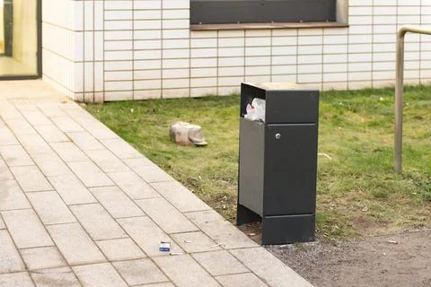 Garbage bins in the yard. Stock Photos