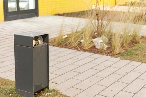 Garbage bins in the yard. Stock Photos