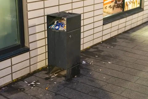 Garbage bins in the yard. Stock Photos