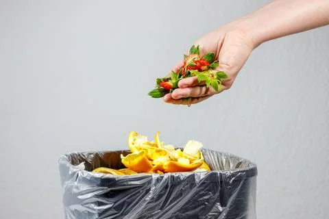 Garbage bio waste. sorting and recycling of garbage Foto stock