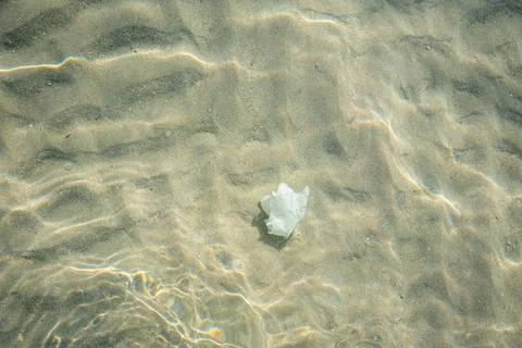 Garbage at the bottom of the sea view through the water Stock Photos