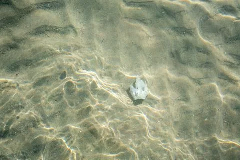Garbage at the bottom of the sea view through the water Stock Photos