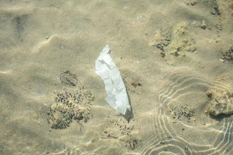 Garbage at the bottom of the sea view through the water Stock Photos