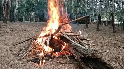 Garbage Burning Stock Footage 242577148