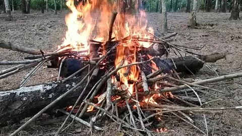 Garbage Burning Stock Footage 242577152